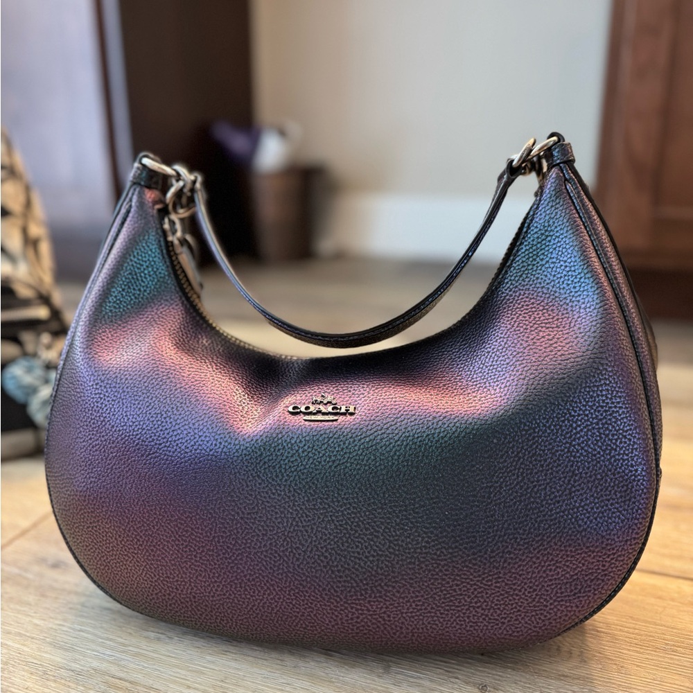 Coach Multicolor Hobo Bag
